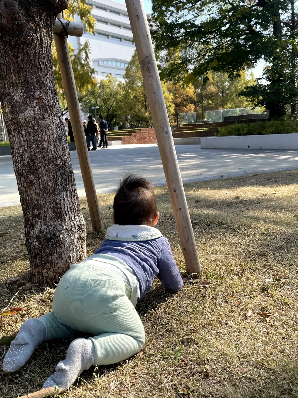 周辺環境（近隣の公園）